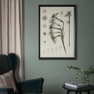 IKEA BILD (ИКЕА БИЛД) 30578882 фото - 2