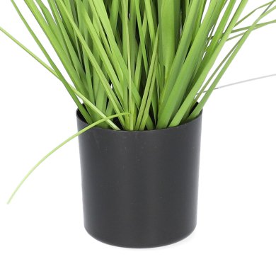 Штучна рослина в горщику Homla GRASS 57 см | Зелений / Чорний / Екрю - 3 Штучна рослина в горщику Homla GRASS 57 см | Зелений / Чорний / Екрю 163772 фото - 3