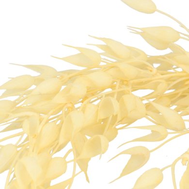 Искусственная ветвь Homla HAVRE 137 см | Экрю - 4 Искусственная ветвь Homla HAVRE 137 см | Экрю 212072 фото - 4