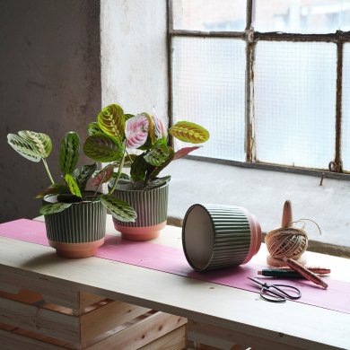 IKEA MAVINN (ИКЕА МАВИНН) 40615129 фото - 5