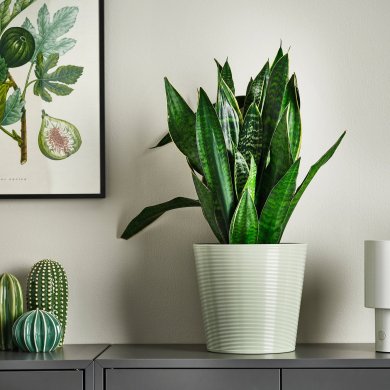 IKEA BROKSPIREA (ИКЕА БРОКСПИРЕА) 00626182 фото - 4