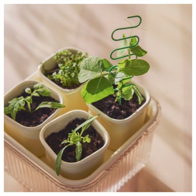 IKEA DOFTRIPS (ИКЕА ДОФТРИПС) 60612337 фото - 6