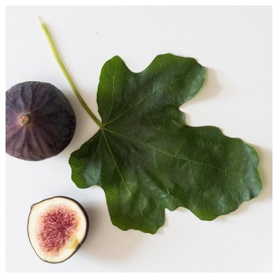 IKEA LOTSFAGEL (ИКЕА ЛОТСФАГЕЛЬ) 10608432 фото - 6