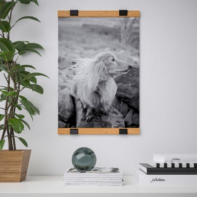 IKEA Тримач для плакатів VISBACK (ИКЕА ВИСБАК) 00423028 фото - 2