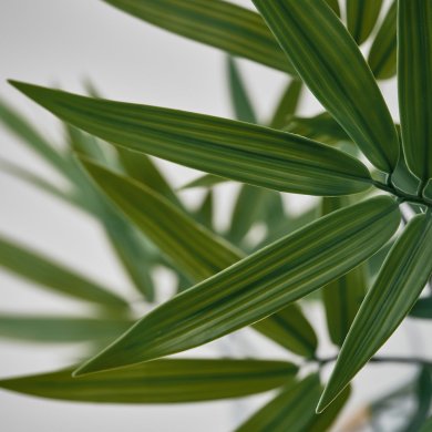 IKEA FEJKA (ИКЕА ФАЛЬШИВЫЙ) 40610607 фото - 3