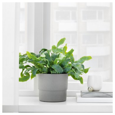 IKEA Кашпо NYPON (ИКЕА НАЙПОН) 40395617 фото - 7