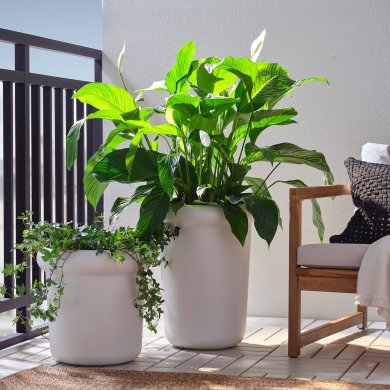 IKEA MABARSBUSKE (ИКЕА МАБАРСБУСКЕ) 70612469 фото - 2