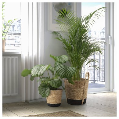 IKEA TARNMAS (ИКЕА ТАРНМАС) 20627185 фото - 4