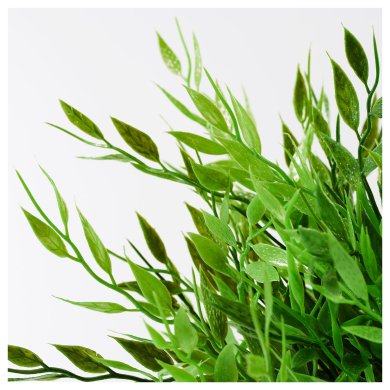 FEJKA - 2 IKEA FEJKA (ИКЕА ФЕЙКА) 60433939 фото - 2