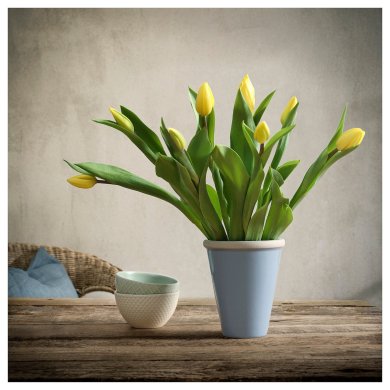 IKEA OLJEPALM (ИКЕА ОЛЬЕПАЛЬМ) 60567349 фото - 2