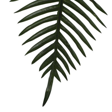 Штучна рослина в горщику Homla TROPICAL ZONE 130 см | Чорний / Зелений - 4 Штучна рослина в горщику Homla TROPICAL ZONE 130 см | Чорний / Зелений 164631 фото - 4