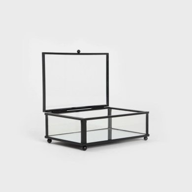 Скринька для прикрас Homla GLASSINE 10x15x5,5 см Прозорий 239186 фото - 2