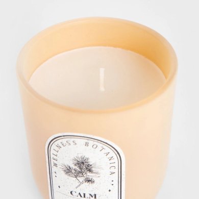Ароматична свічка Homla WELLNESS Calm 160 г Бежевий 240426 фото - 2