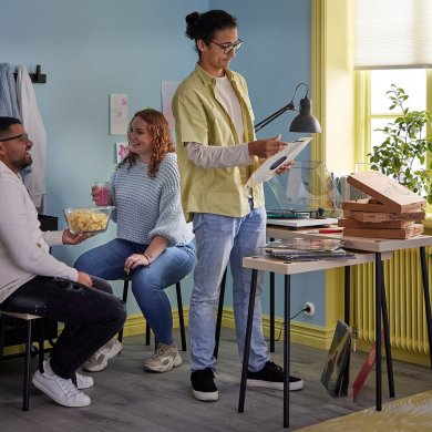 IKEA Комплект журнальных столов FRIDNAS 4 шт Береза (ИКЕА ФРИДНАС) 70504276 фото - 12