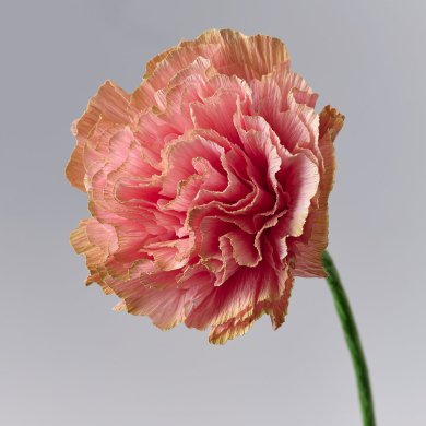 IKEA GULDSPETT (ИКЕА ГУЛДСПЕТТ) 80614967 фото - 2