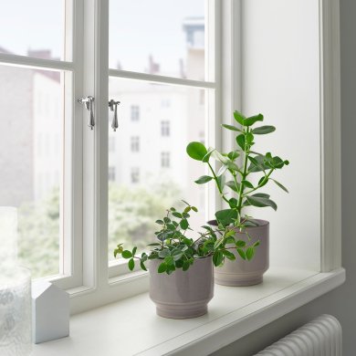 IKEA HONUNGSPALM (ИКЕА ХОНУНГСПАЛМ) 00595798 фото - 3