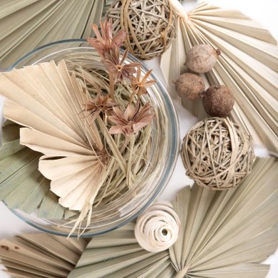 Декоративні сушені рослини Homla ROQUE Бежевий 218808 фото - 4