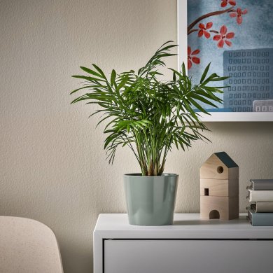 IKEA SOJABONA (ИКЕА СОДЖАБОН) 30586575 фото - 5