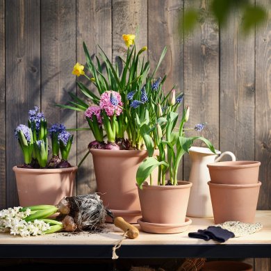 LOKARYD - 2 IKEA LOKARYD (ИКЕА ЛОКАРИД) 80540368 фото - 2