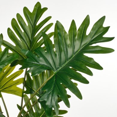 IKEA FEJKA (ИКЕА ФАЛЬШИВЫЙ) 70600862 фото - 4