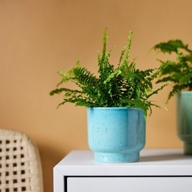 IKEA SAMMETSSYREN (ИКЕА САММЕТСИРЕН) 90642583 фото - 2