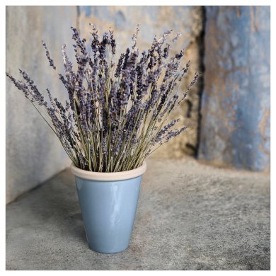 IKEA OLJEPALM (ИКЕА ОЛЬЕПАЛЬМ) 60567349 фото - 5