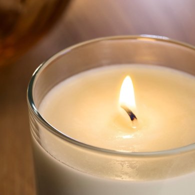 IKEA LOTSFAGEL (ИКЕА ЛОТСФАГЕЛЬ) 70608368 фото - 3