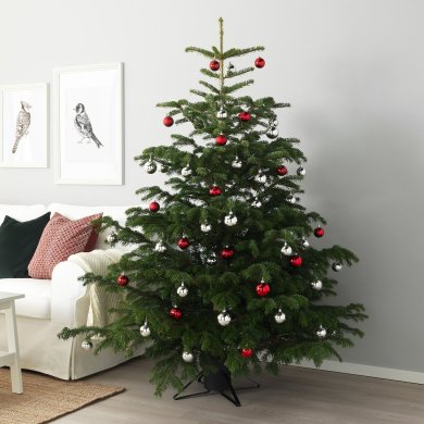 IKEA ABIES NORDMANNIANA (ИКЕА АБИС НОРДМАННИАН) 80228363 фото - 3
