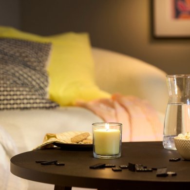 IKEA LOTSFAGEL (ИКЕА ЛОТСФАГЕЛЬ) 80608396 фото - 5