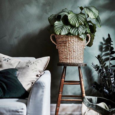 TORNBAR - 2 IKEA TORNBAR (ИКЕА ТОРНБАР) 70524707 фото - 2