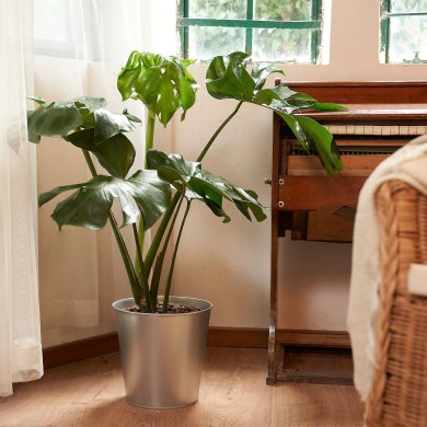 IKEA AKERBAR (ИКЕА АКЕРБАР) 50497696 фото - 3