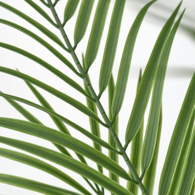 IKEA FEJKA (ИКЕА ФАЛЬШИВЫЙ) 00600894 фото - 2