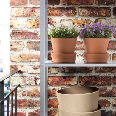 CAMPANULA PORTENSCHLAGIANA - 2 IKEA CAMPANULA PORTENSCHLAGIANA (ИКЕА КАМПАНУЛА ПОРТЕНШЛАГИАНА) 50540360 фото - 2