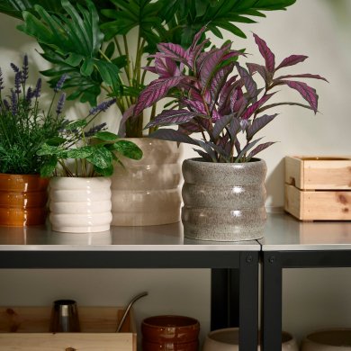 IKEA HASSELBUKETT (ИКЕА ХАССЕЛЬБУКЕТТ) 40641350 фото - 2