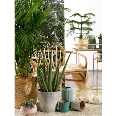 CHIAFRON - 5 IKEA CHIAFRON (ИКЕА ШИАФРОН) 00441904 фото - 5