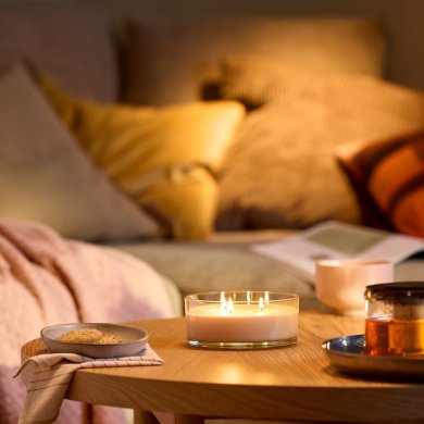 IKEA LOTSFAGEL (ИКЕА ЛОТСФАГЕЛЬ) 80608042 фото - 4