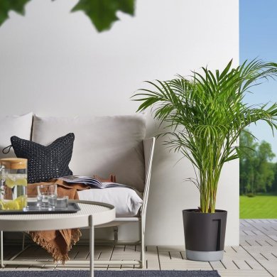IKEA VARDTRAD (ИКЕА ВАРДТРАД) 40570866 фото - 4