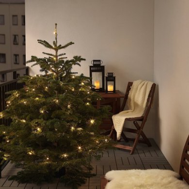 ABIES NORDMANNIANA - 2 IKEA ABIES NORDMANNIANA (ИКЕА АБИС НОРДМАННИАН) 80045882 фото - 2