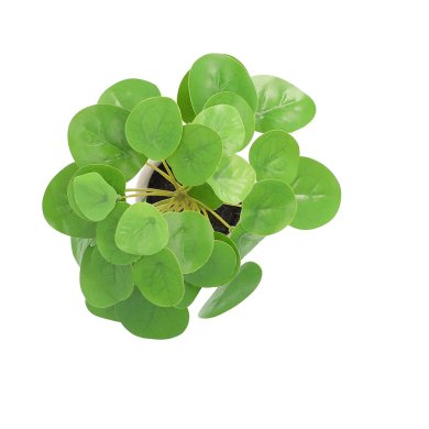 Искусственное растение в горшке Homla Edera Pilea 19см | Зеленый / Бежевый 209200 фото - 2