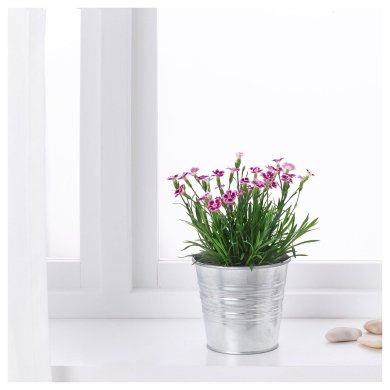 DIANTHUS - 2 IKEA DIANTHUS (ИКЕА ДИАТУС) 80547119 фото - 2