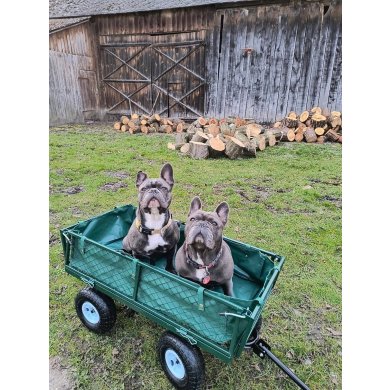 Садовий візок Kontrast 108 л Зелений 5.18.27498 фото - 12