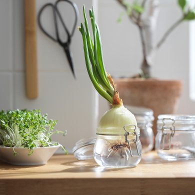 IKEA KORKEN (ИКЕА КОРКЕН) 70213545 фото - 12