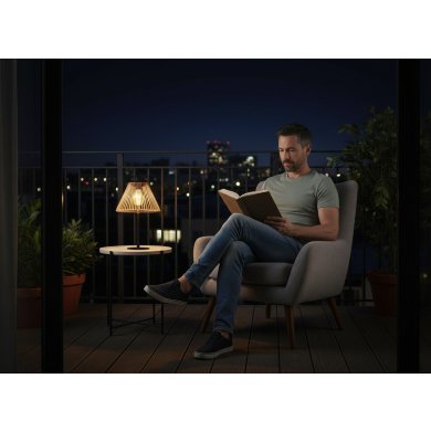 Декоративний світильник на сонячній батареї Garden Line LAP5979 Коричневий LAP5979 фото - 3