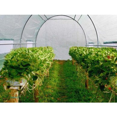 Парник теплиця Kontrast 18 м² 6x3х2 м Зелений - 10 Парник теплиця Kontrast 18 м² 6x3х2 м Зелений 5.07.27292 фото - 10