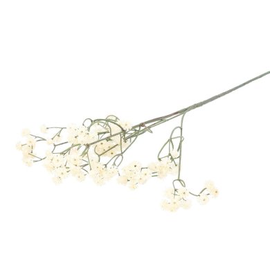 Штучна гілка Homla CLADEL 24 см | Екрю - 2 Штучна гілка Homla CLADEL 24 см | Екрю 200200 фото - 2