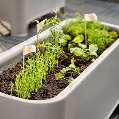 ASPAREN - 3 IKEA ASPAREN (ИКЕА АСПАРЕН) 10539269 фото - 3