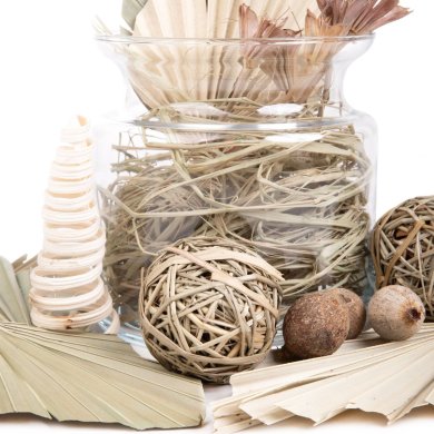 Декоративні сушені рослини Homla ROQUE Бежевий 218808 фото - 3