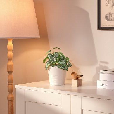 IKEA FEJKA (ИКЕА ФЕЙКА) 10582502 фото - 2