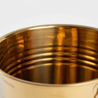 Відро для льоду Homla MOI 4 л Золотий 237438 фото - 3