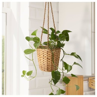 IKEA FRIDFULL (ИКЕА Веселый) 50564600 фото - 3